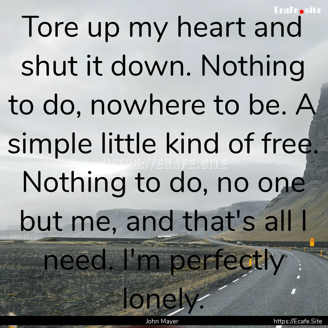 Tore up my heart and shut it down. Nothing.... : Quote by John Mayer