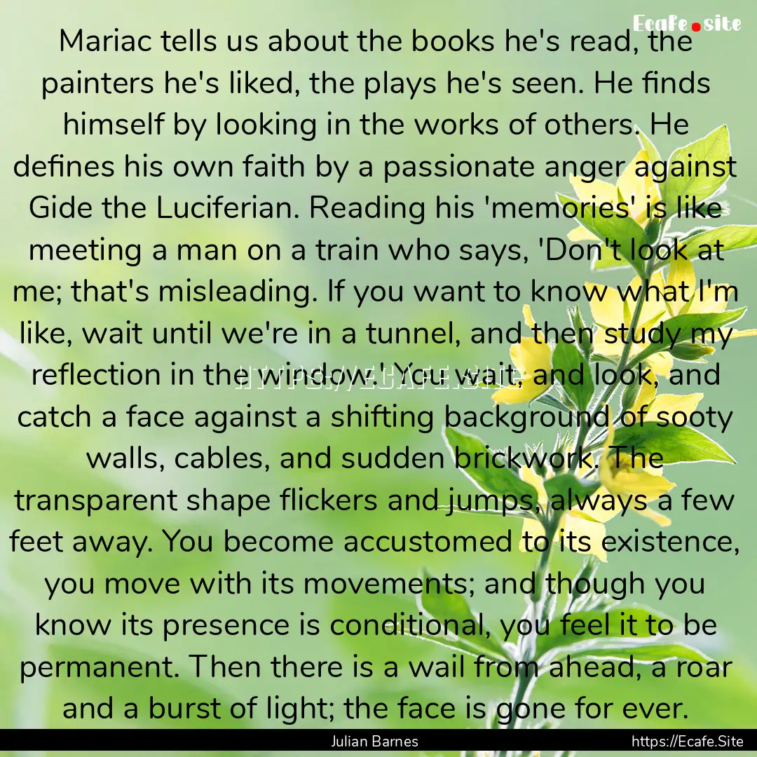 Mariac tells us about the books he's read,.... : Quote by Julian Barnes