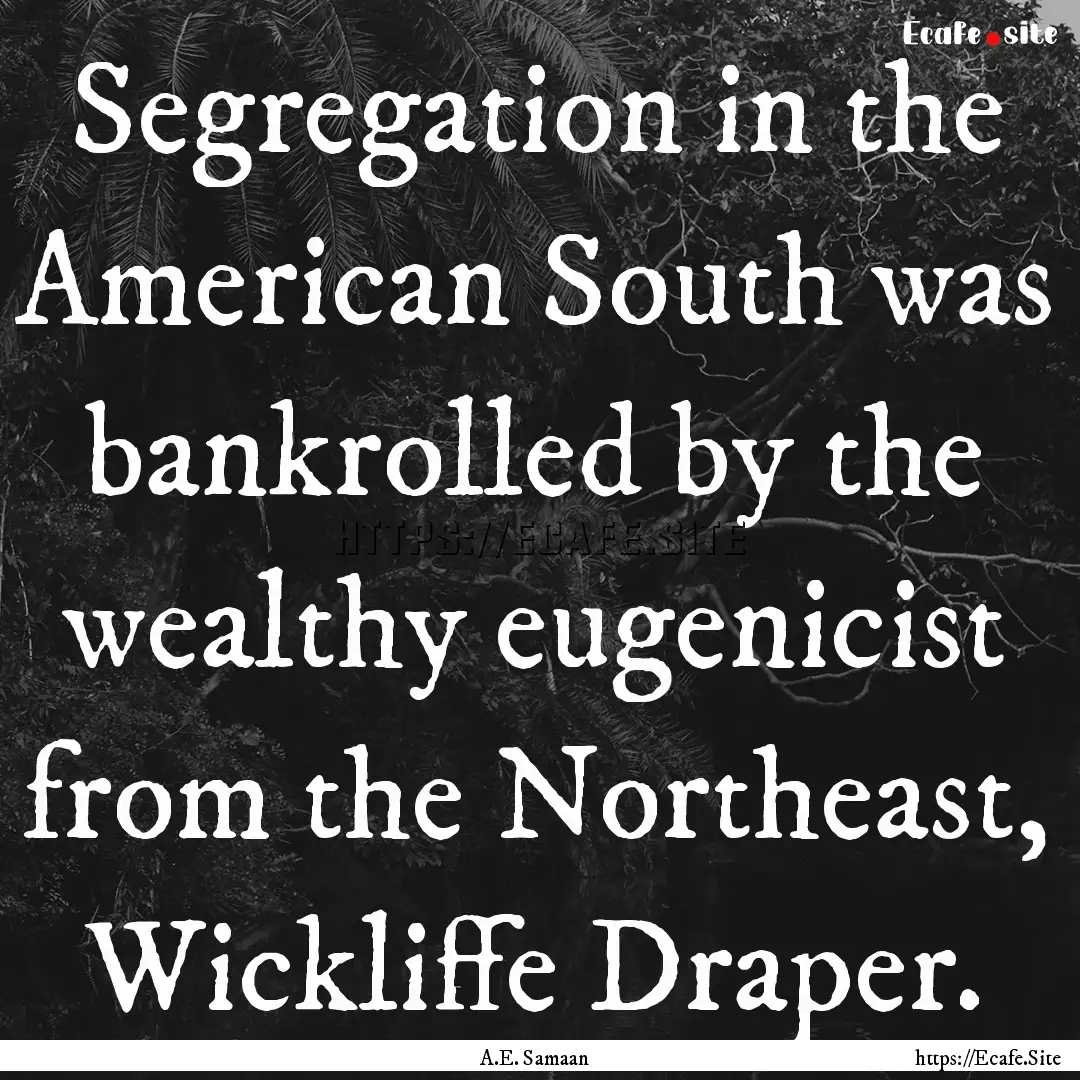 Segregation in the American South was bankrolled.... : Quote by A.E. Samaan