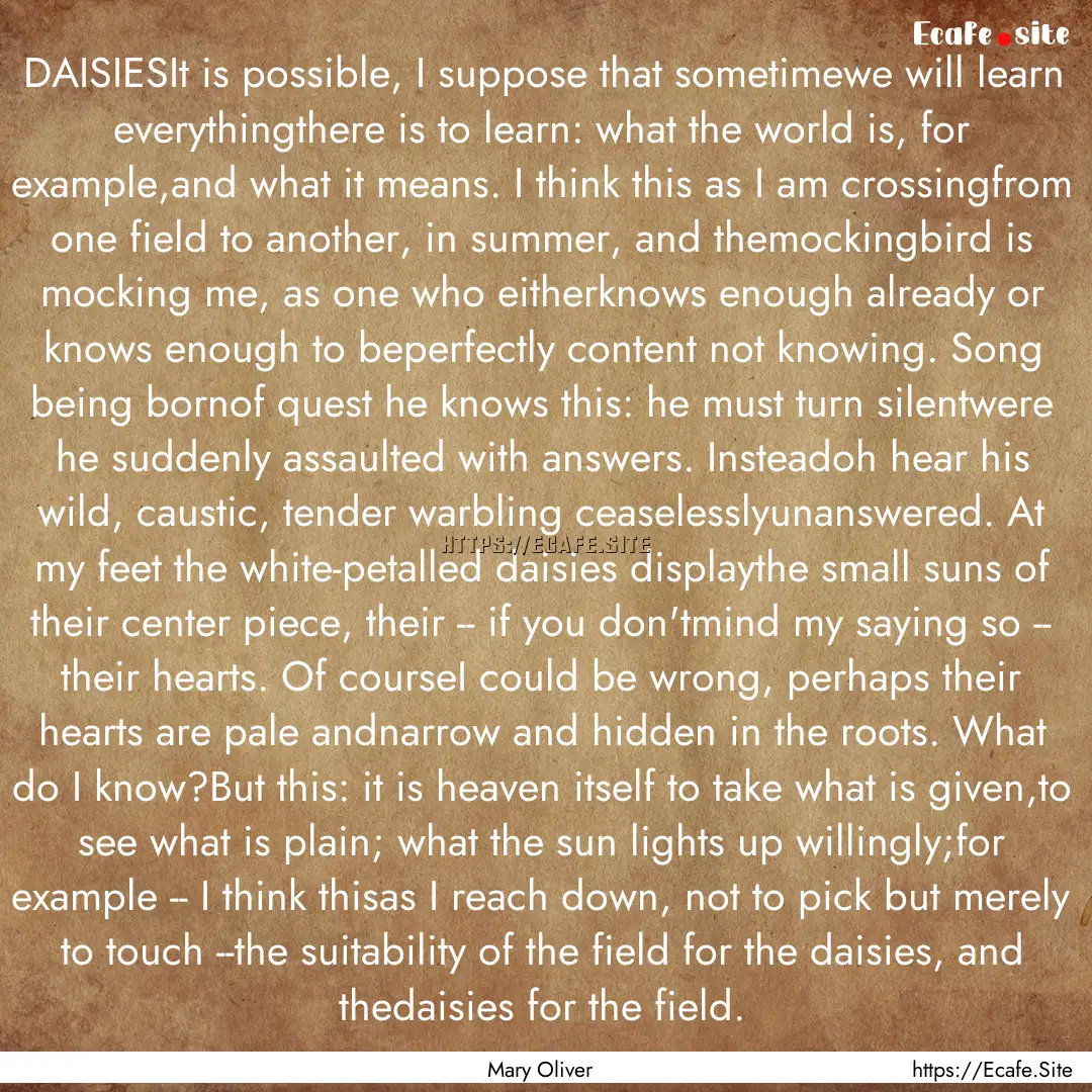 DAISIESIt is possible, I suppose that sometimewe.... : Quote by Mary Oliver