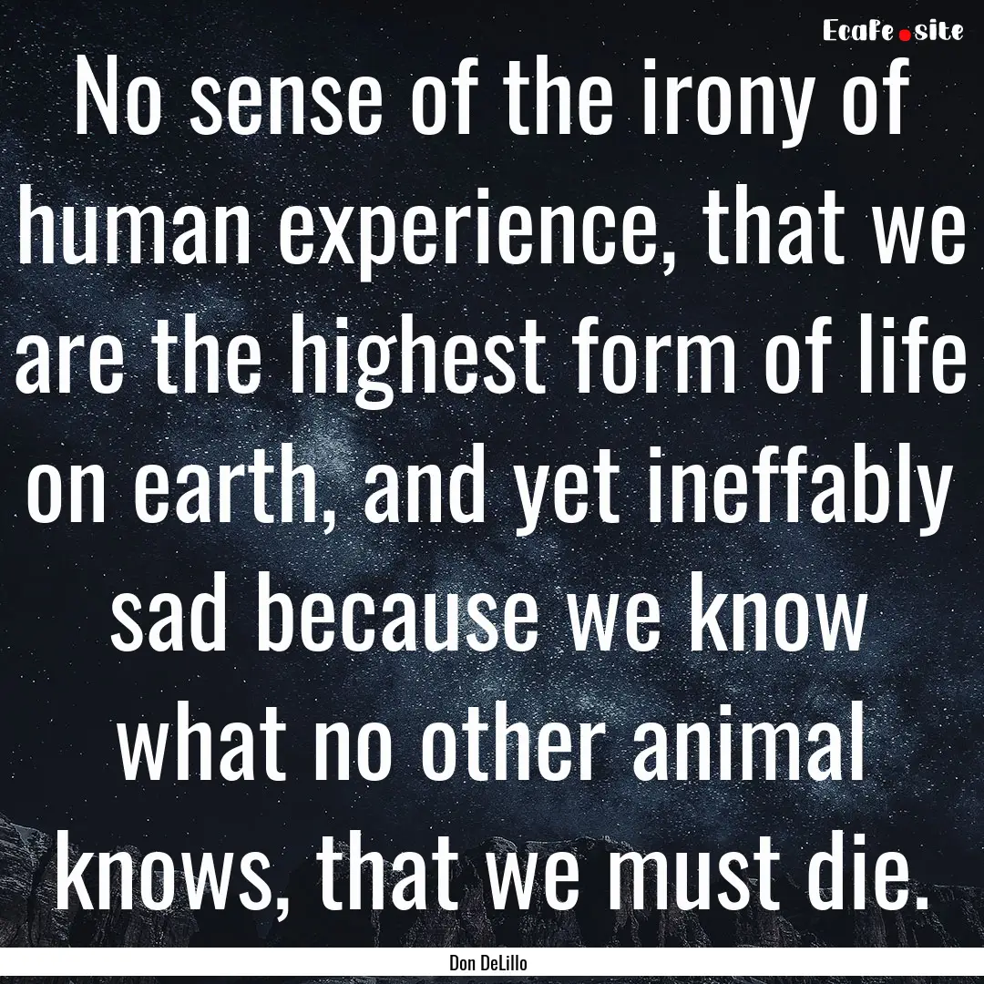 No sense of the irony of human experience,.... : Quote by Don DeLillo