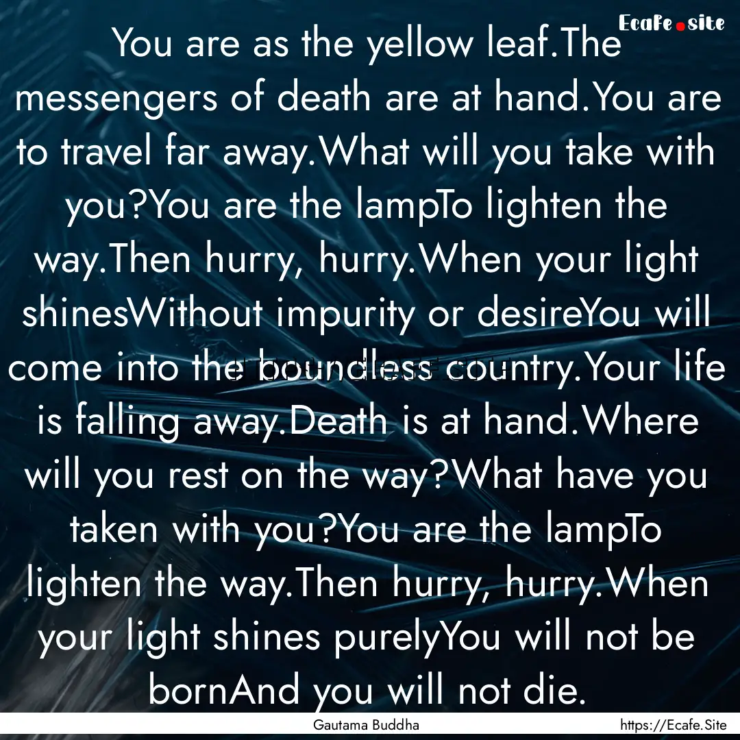 You are as the yellow leaf.The messengers.... : Quote by Gautama Buddha