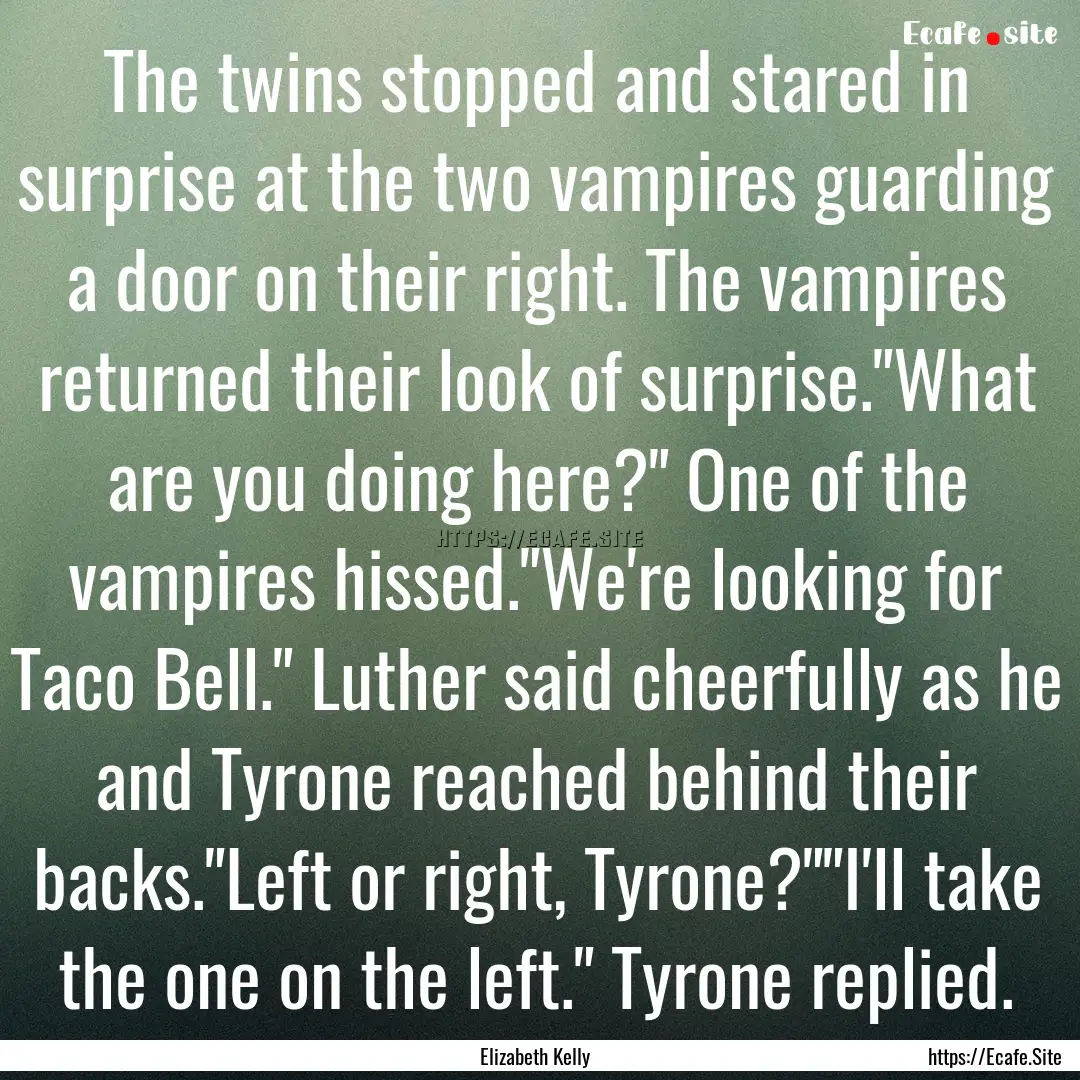 The twins stopped and stared in surprise.... : Quote by Elizabeth Kelly