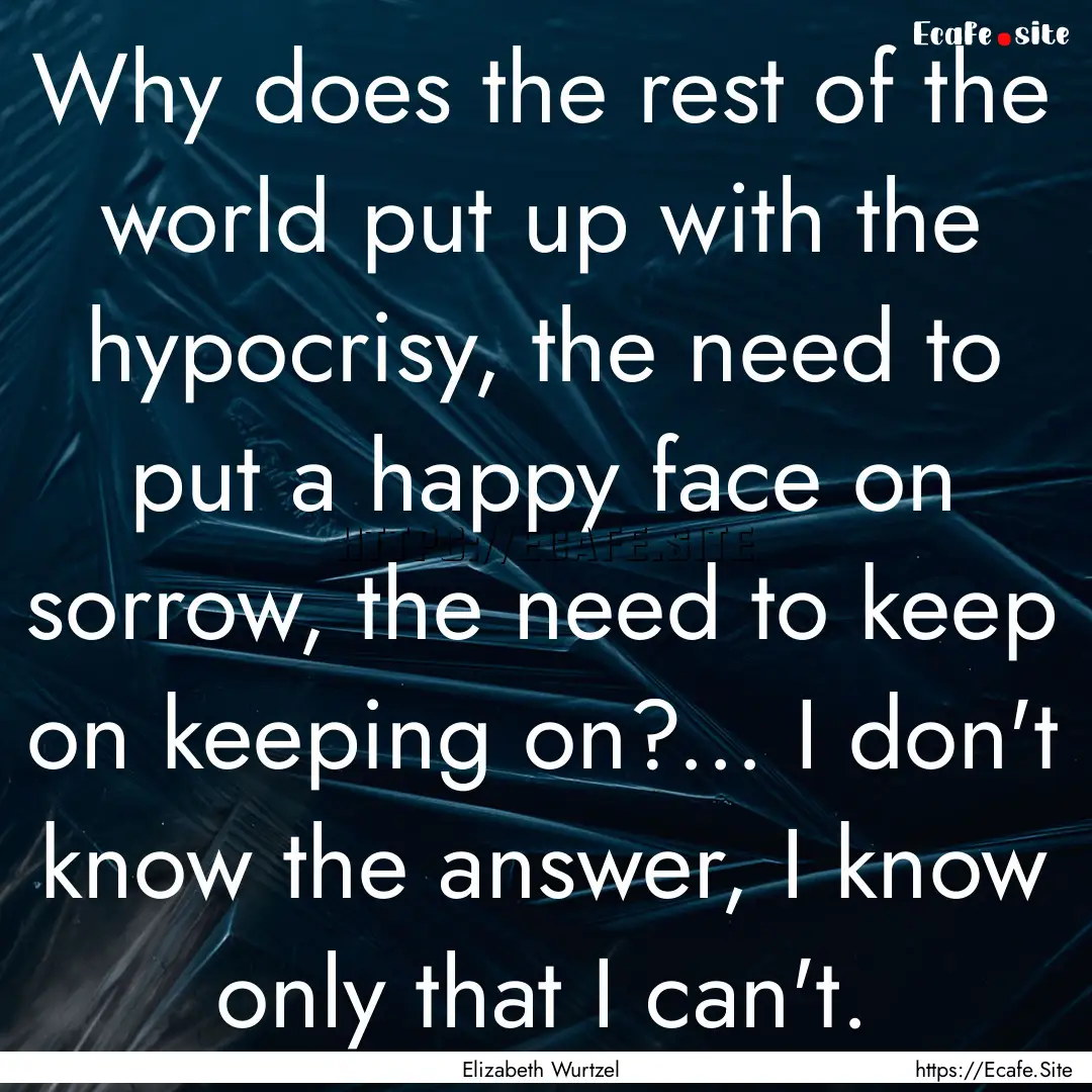 Why does the rest of the world put up with.... : Quote by Elizabeth Wurtzel