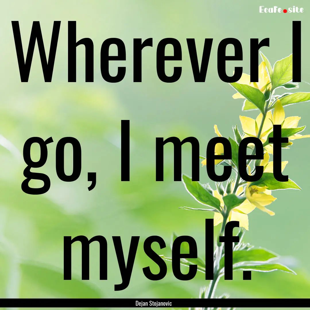 Wherever I go, I meet myself. : Quote by Dejan Stojanovic