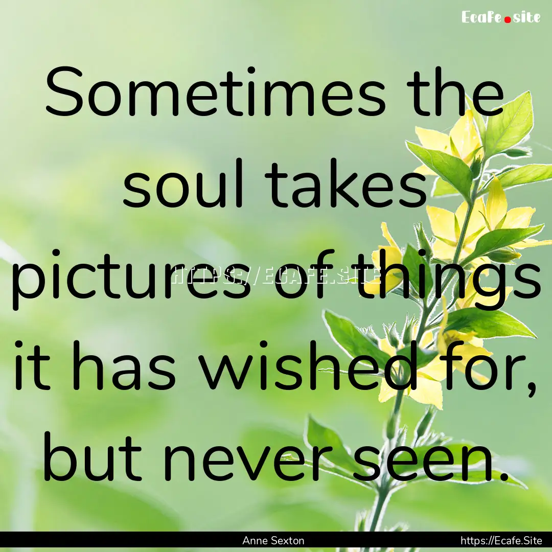 Sometimes the soul takes pictures of things.... : Quote by Anne Sexton