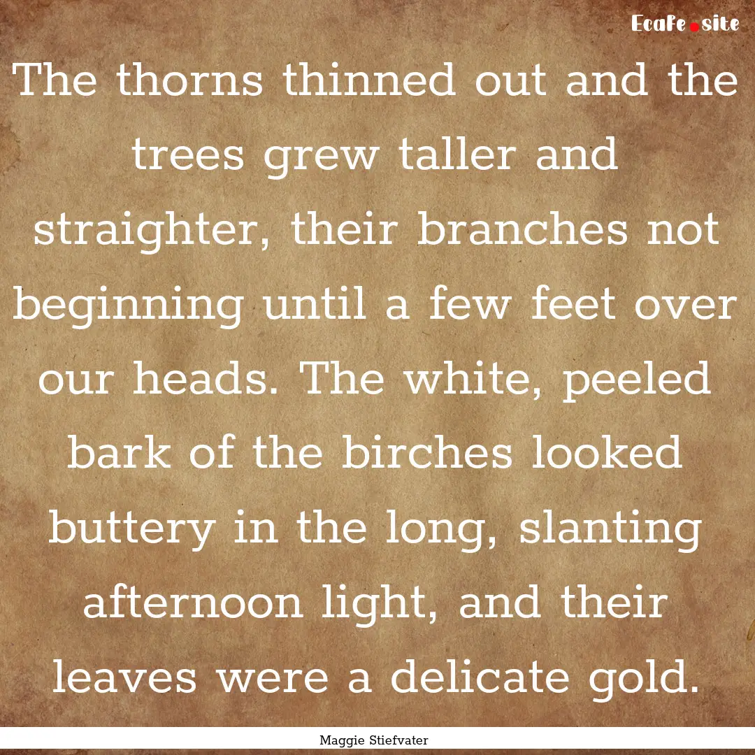 The thorns thinned out and the trees grew.... : Quote by Maggie Stiefvater