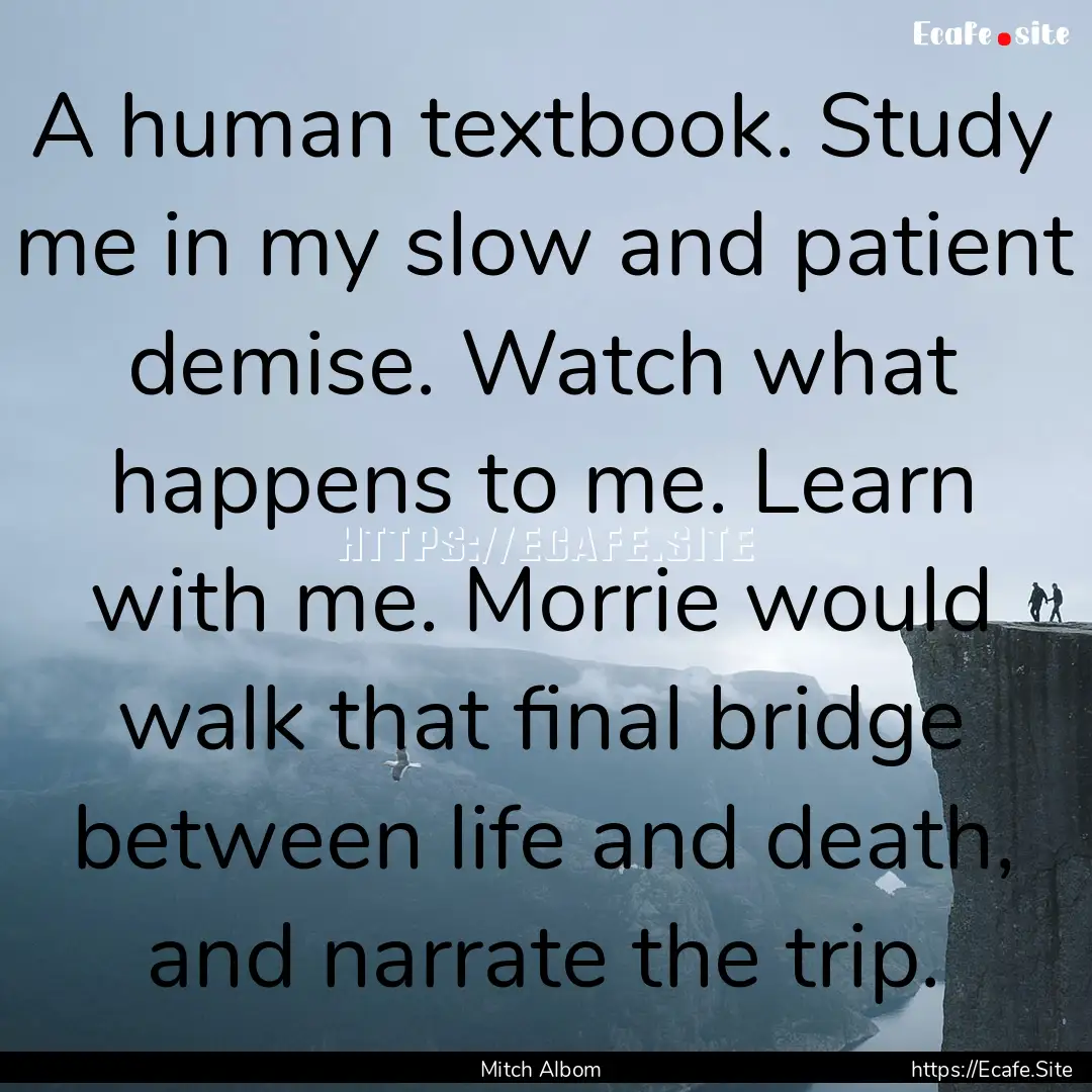 A human textbook. Study me in my slow and.... : Quote by Mitch Albom