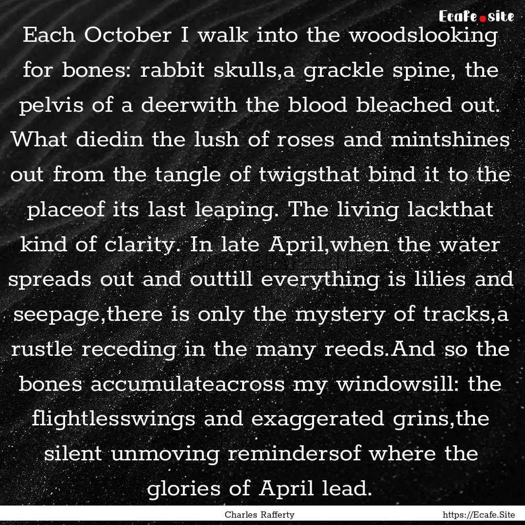 Each October I walk into the woodslooking.... : Quote by Charles Rafferty