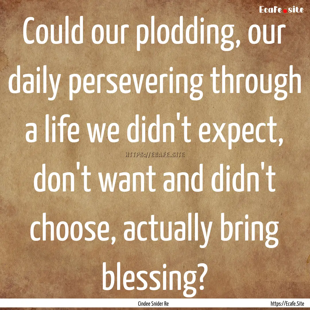 Could our plodding, our daily persevering.... : Quote by Cindee Snider Re