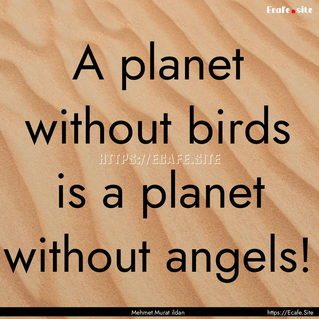 A planet without birds is a planet without.... : Quote by Mehmet Murat ildan