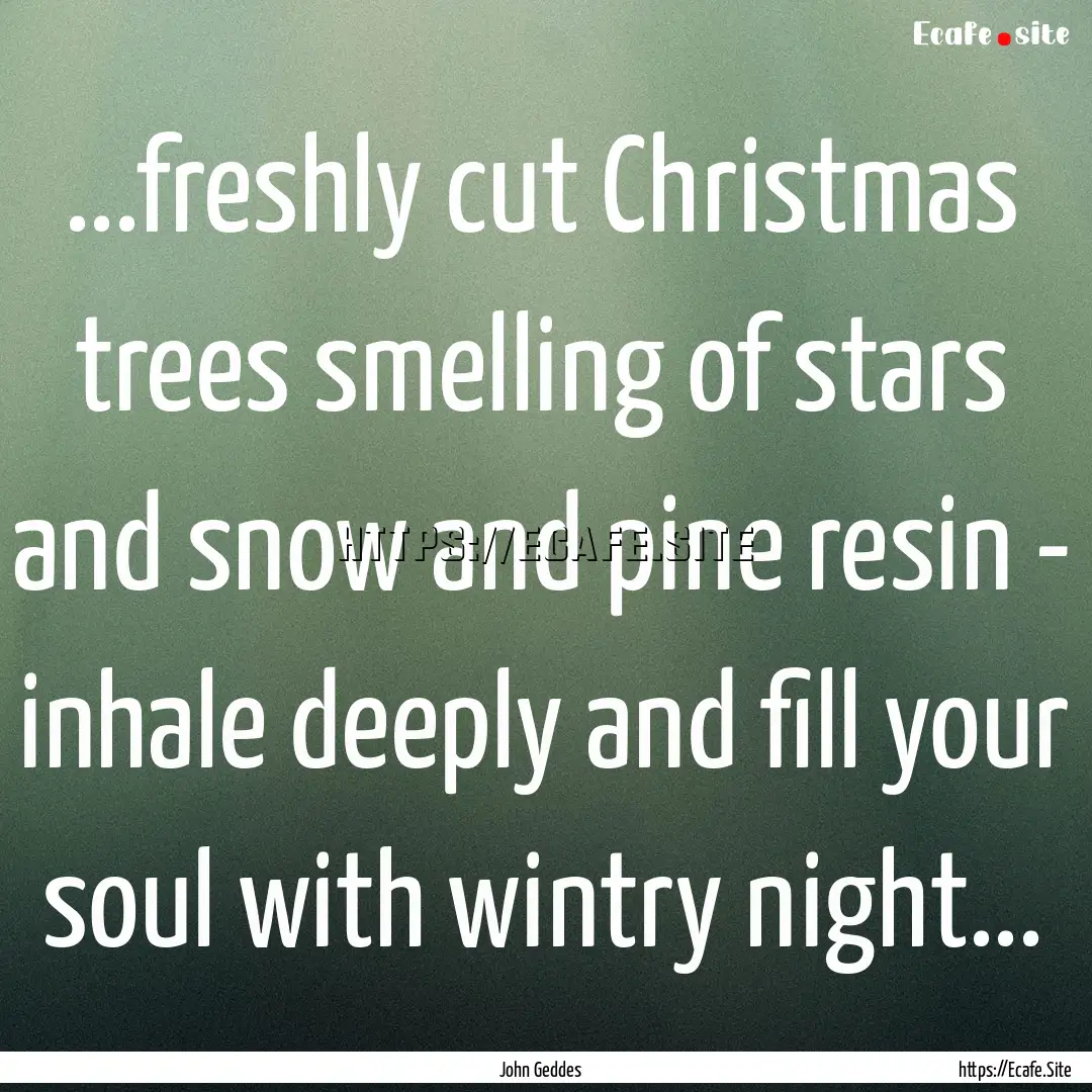 ...freshly cut Christmas trees smelling of.... : Quote by John Geddes