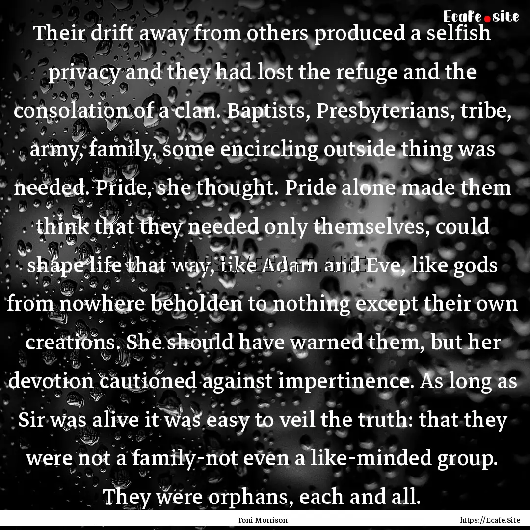 Their drift away from others produced a selfish.... : Quote by Toni Morrison