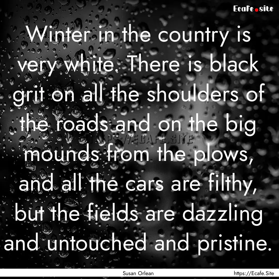 Winter in the country is very white. There.... : Quote by Susan Orlean