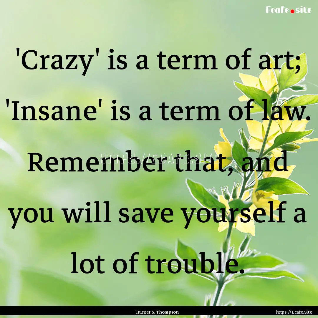 'Crazy' is a term of art; 'Insane' is a term.... : Quote by Hunter S. Thompson