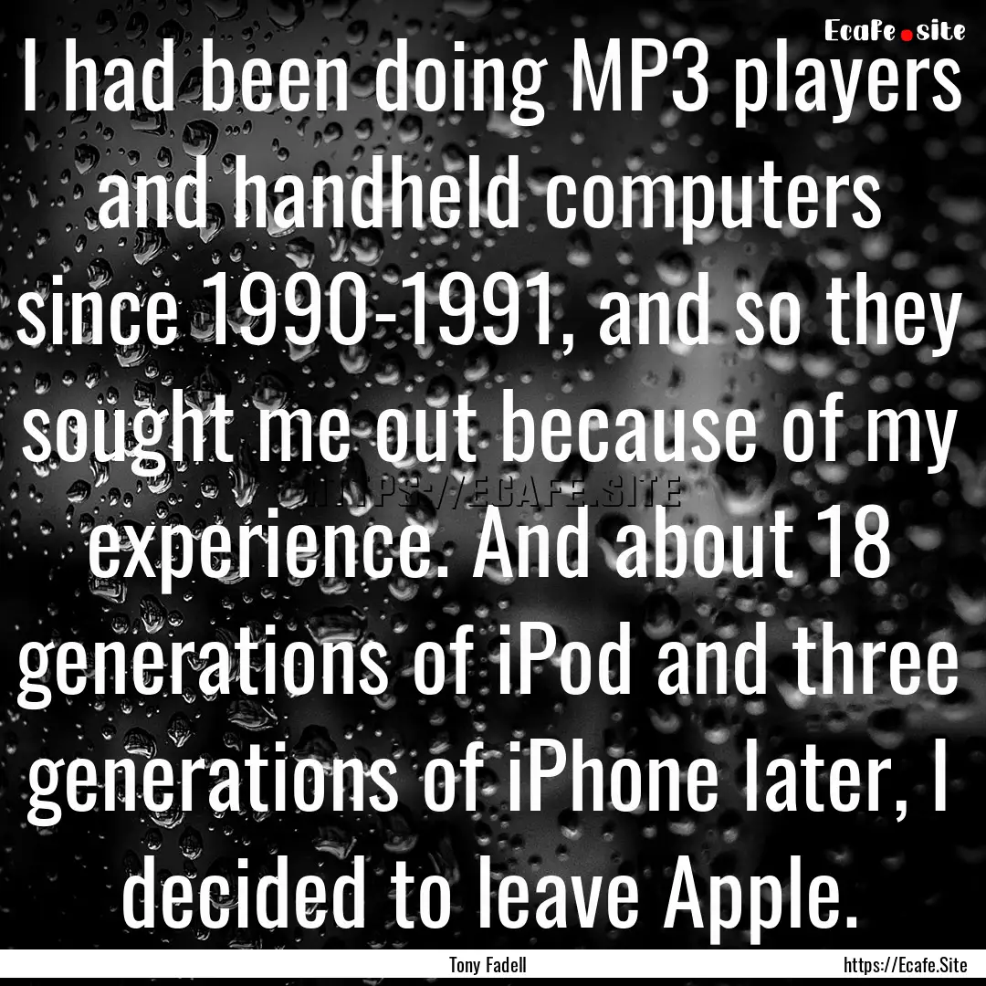 I had been doing MP3 players and handheld.... : Quote by Tony Fadell