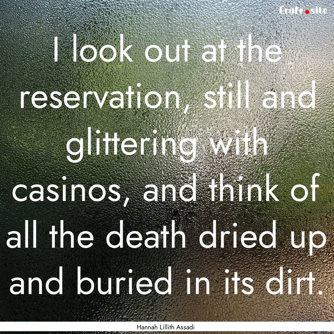 I look out at the reservation, still and.... : Quote by Hannah Lillith Assadi