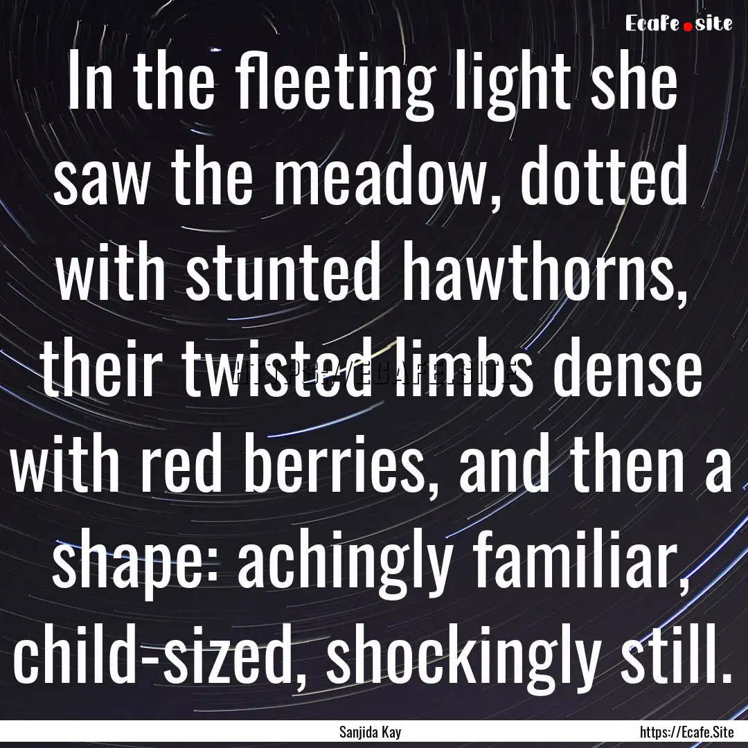 In the fleeting light she saw the meadow,.... : Quote by Sanjida Kay