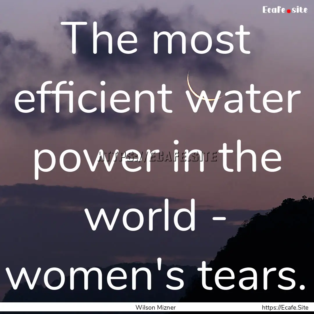 The most efficient water power in the world.... : Quote by Wilson Mizner