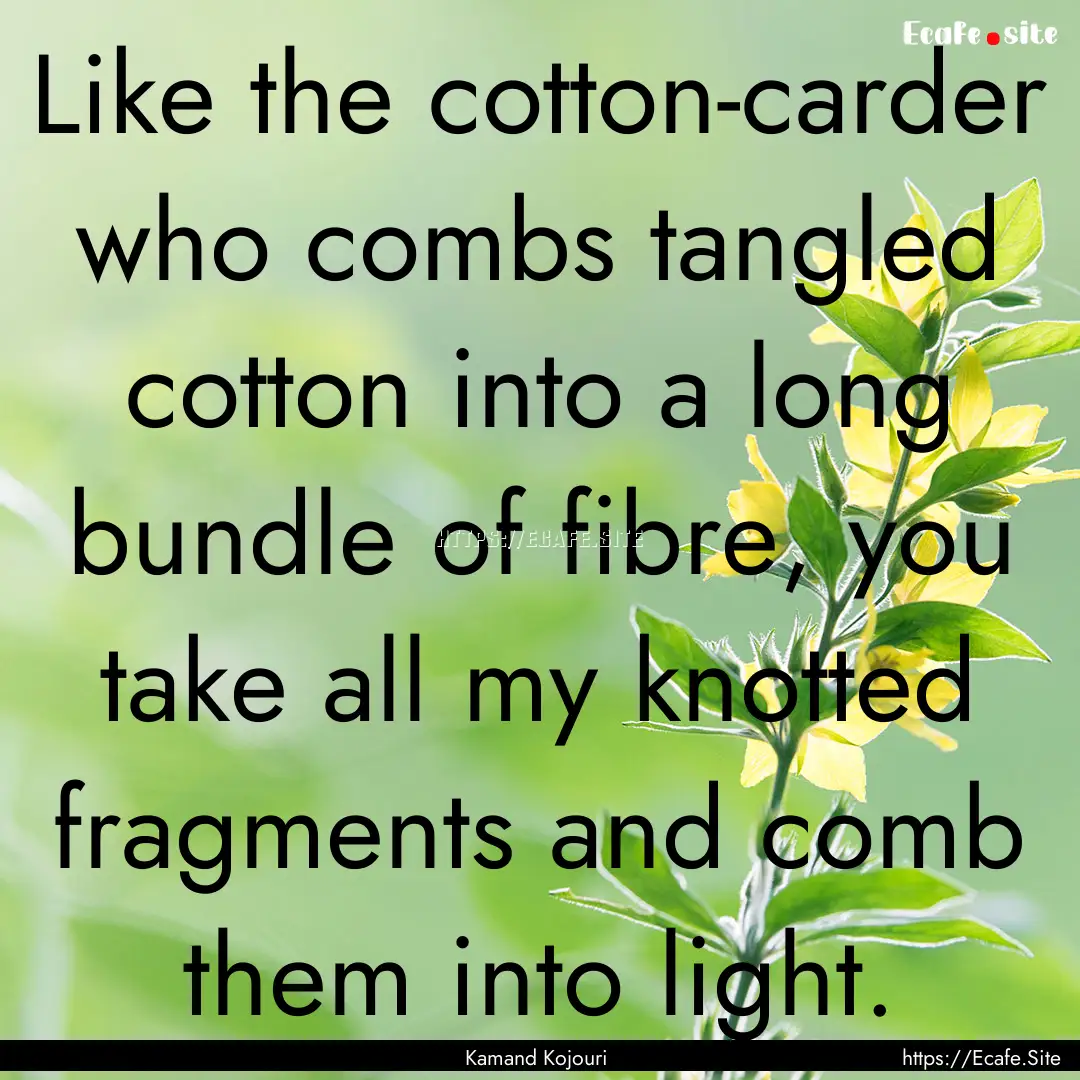 Like the cotton-carder who combs tangled.... : Quote by Kamand Kojouri