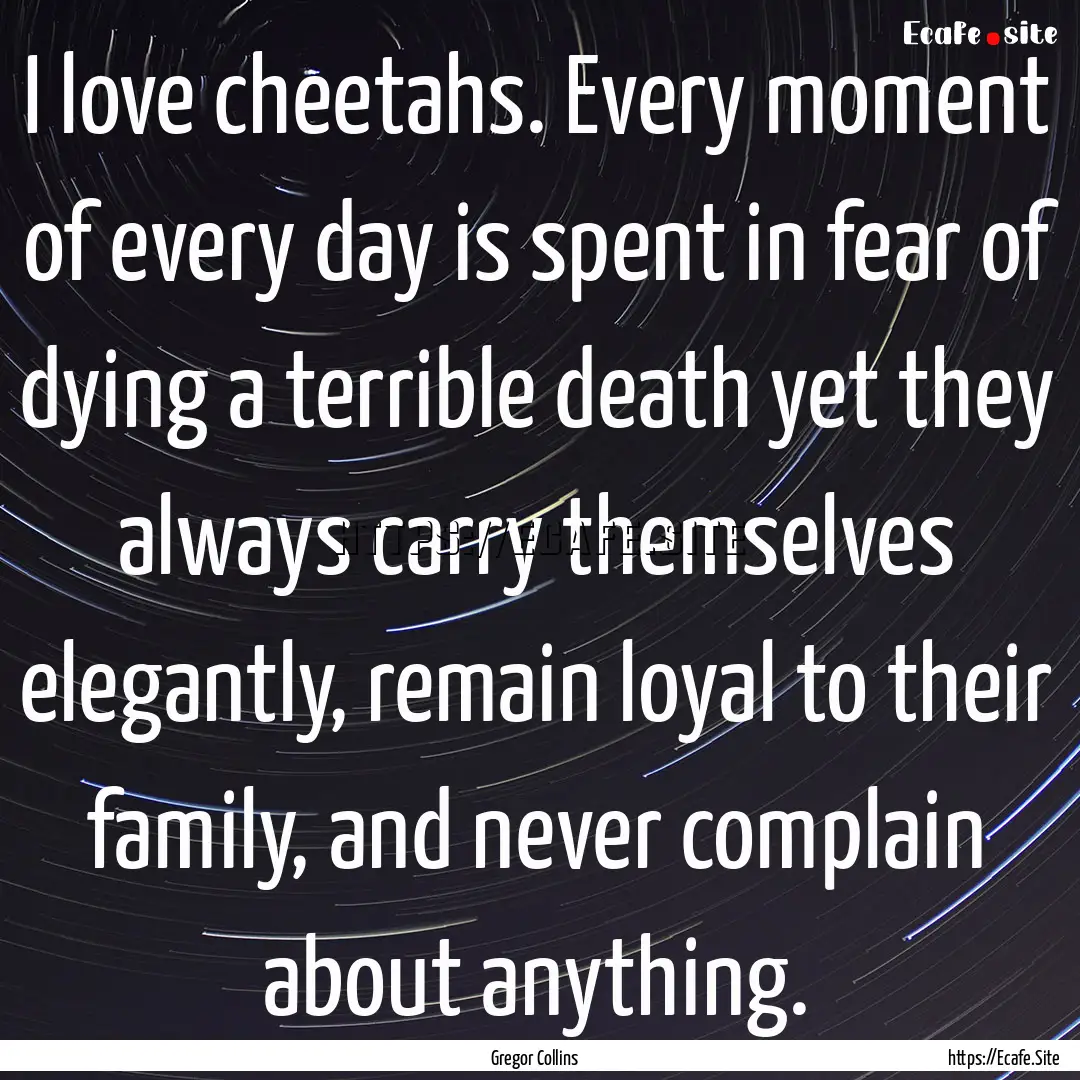 I love cheetahs. Every moment of every day.... : Quote by Gregor Collins