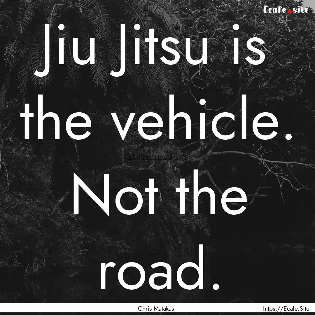 Jiu Jitsu is the vehicle. Not the road. : Quote by Chris Matakas