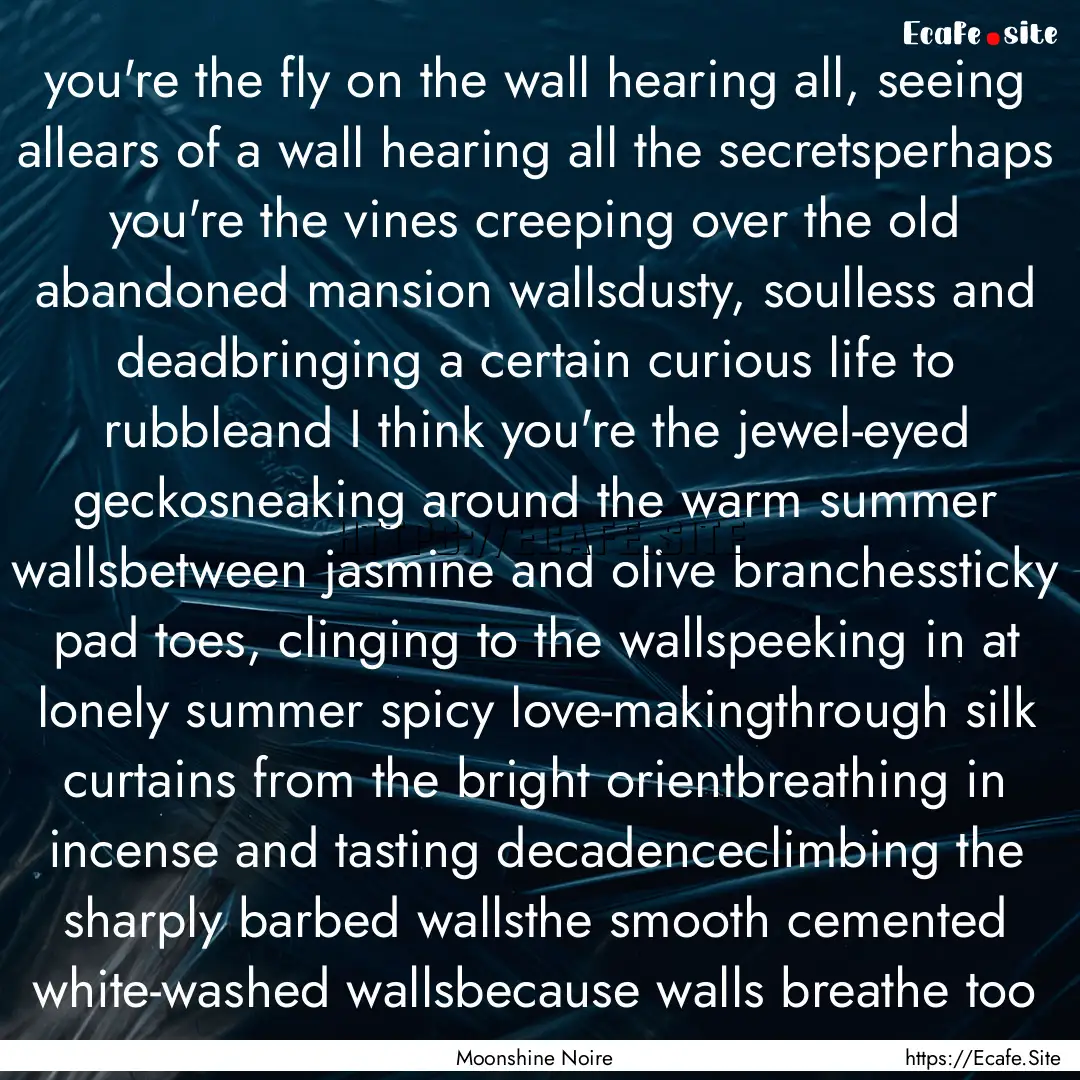 you're the fly on the wall hearing all, seeing.... : Quote by Moonshine Noire