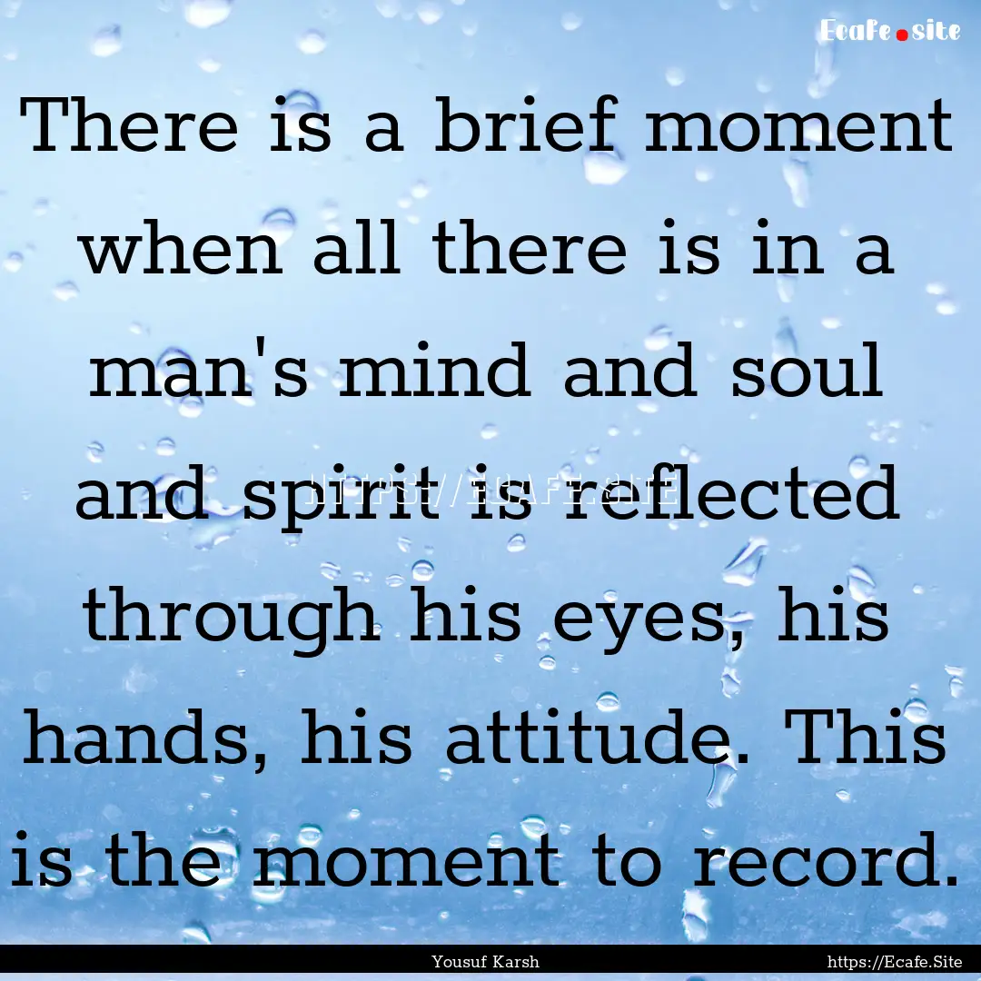 There is a brief moment when all there is.... : Quote by Yousuf Karsh