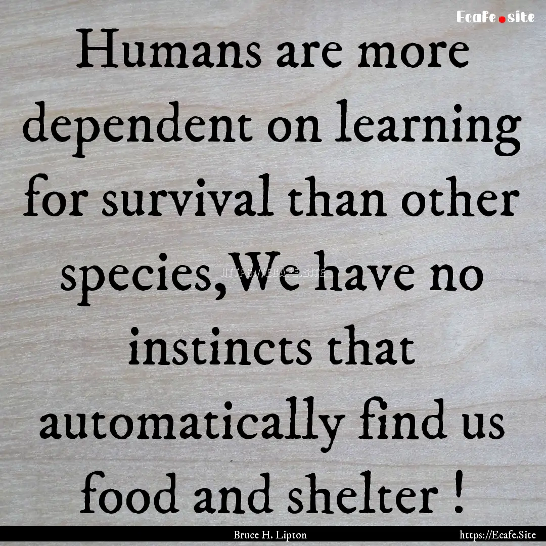 Humans are more dependent on learning for.... : Quote by Bruce H. Lipton