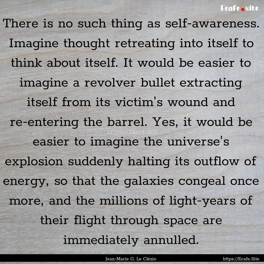 There is no such thing as self-awareness..... : Quote by Jean-Marie G. Le Clézio