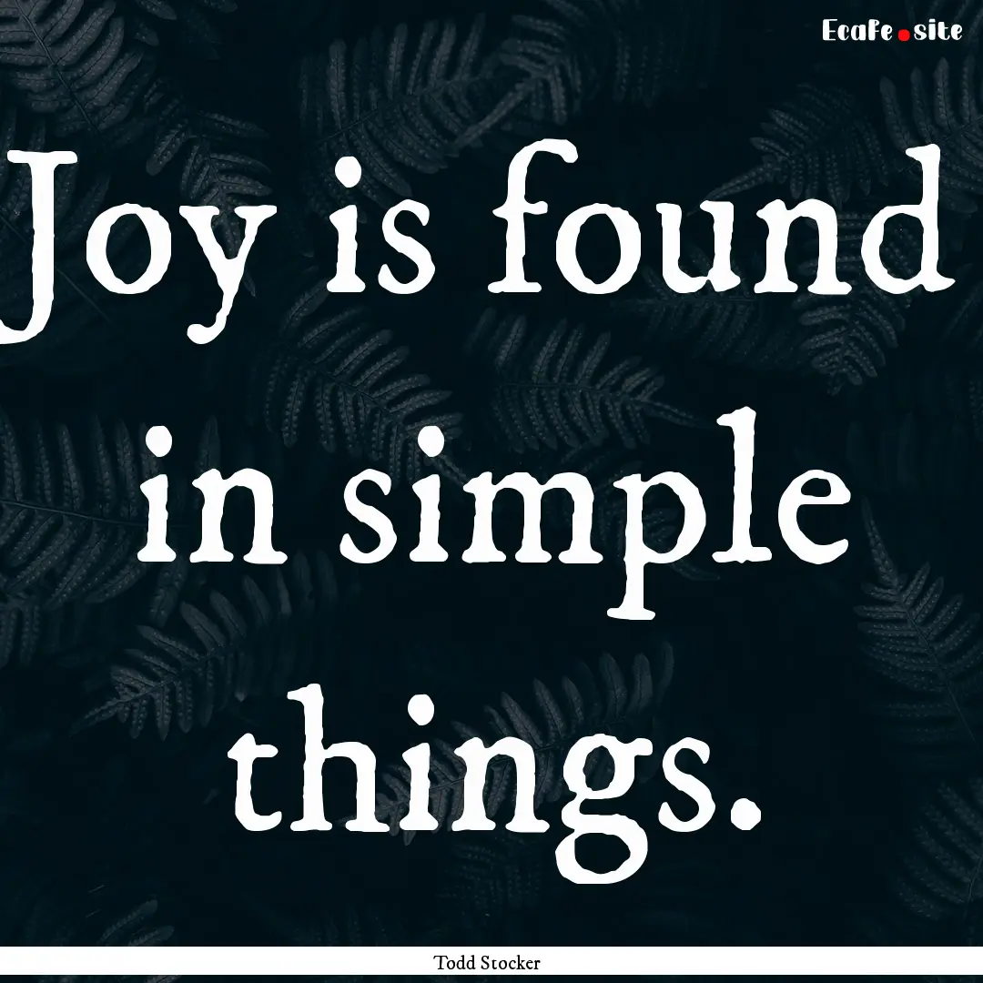 Joy is found in simple things. : Quote by Todd Stocker