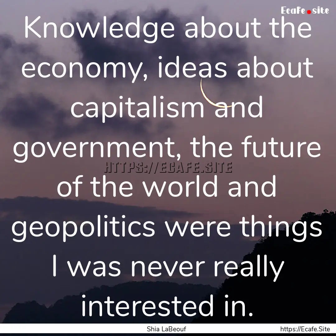 Knowledge about the economy, ideas about.... : Quote by Shia LaBeouf