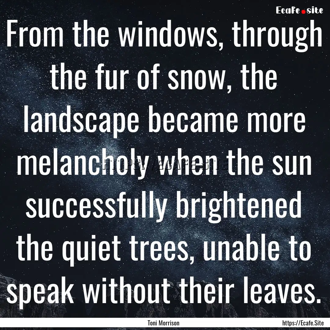 From the windows, through the fur of snow,.... : Quote by Toni Morrison