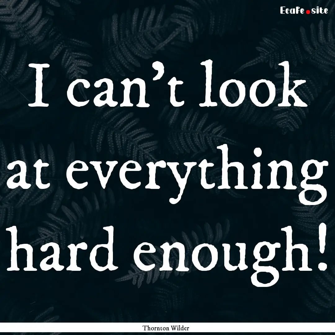 I can't look at everything hard enough! : Quote by Thornton Wilder