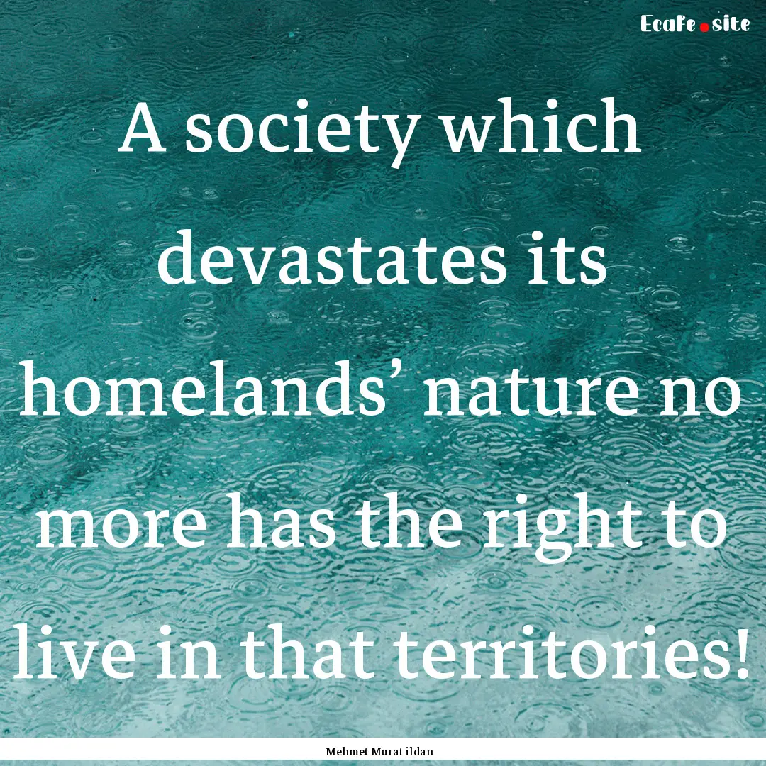 A society which devastates its homelands’.... : Quote by Mehmet Murat ildan