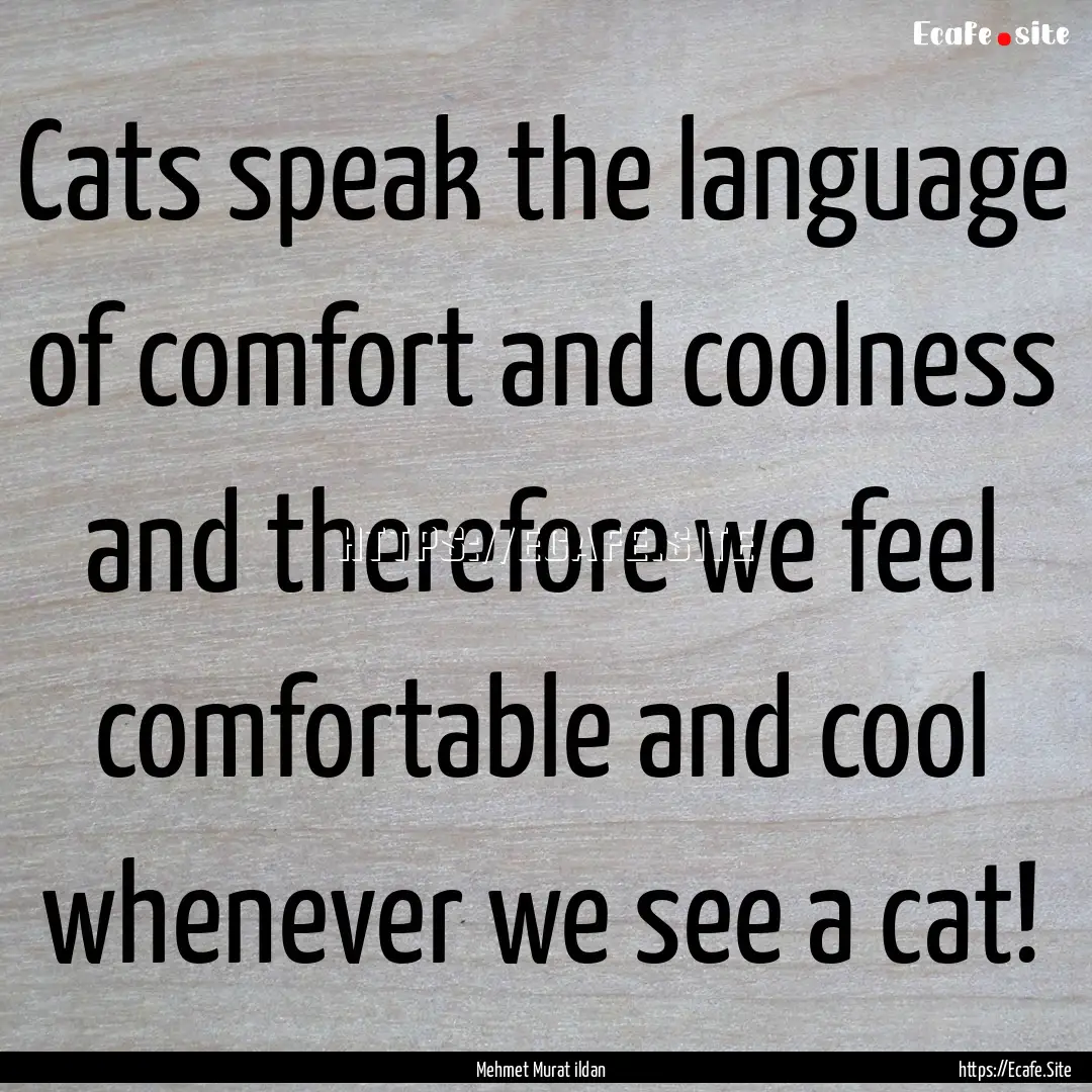 Cats speak the language of comfort and coolness.... : Quote by Mehmet Murat ildan