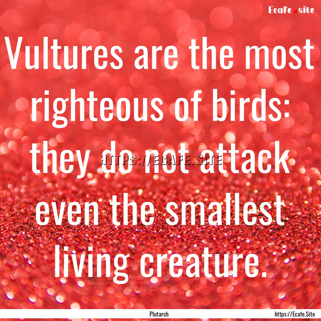 Vultures are the most righteous of birds:.... : Quote by Plutarch