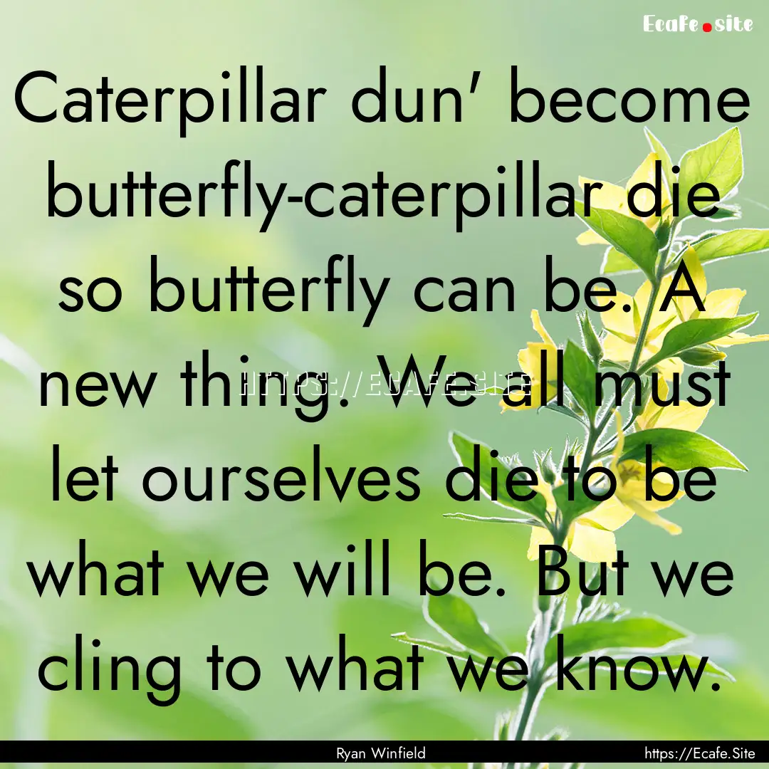 Caterpillar dun' become butterfly-caterpillar.... : Quote by Ryan Winfield