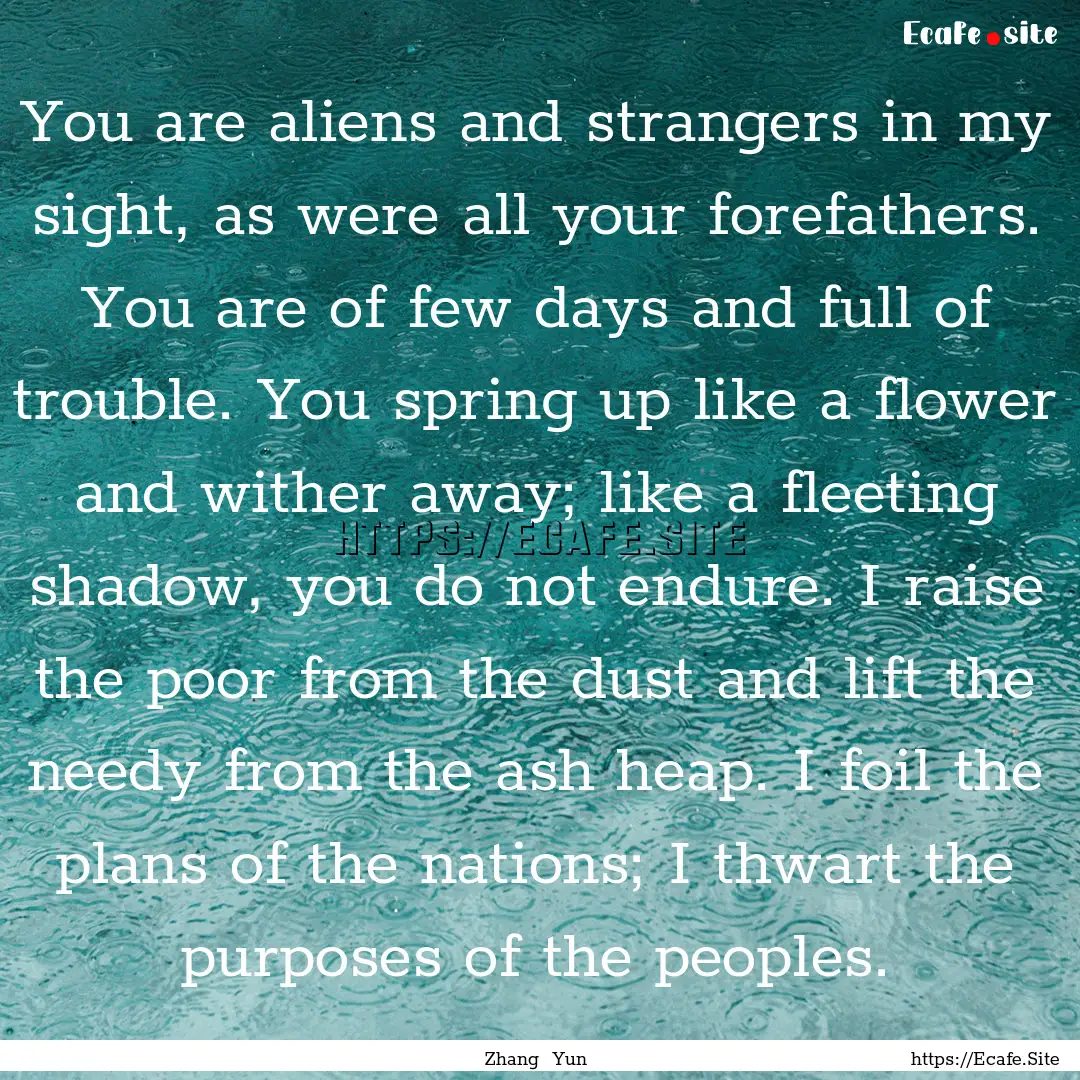 You are aliens and strangers in my sight,.... : Quote by Zhang Yun