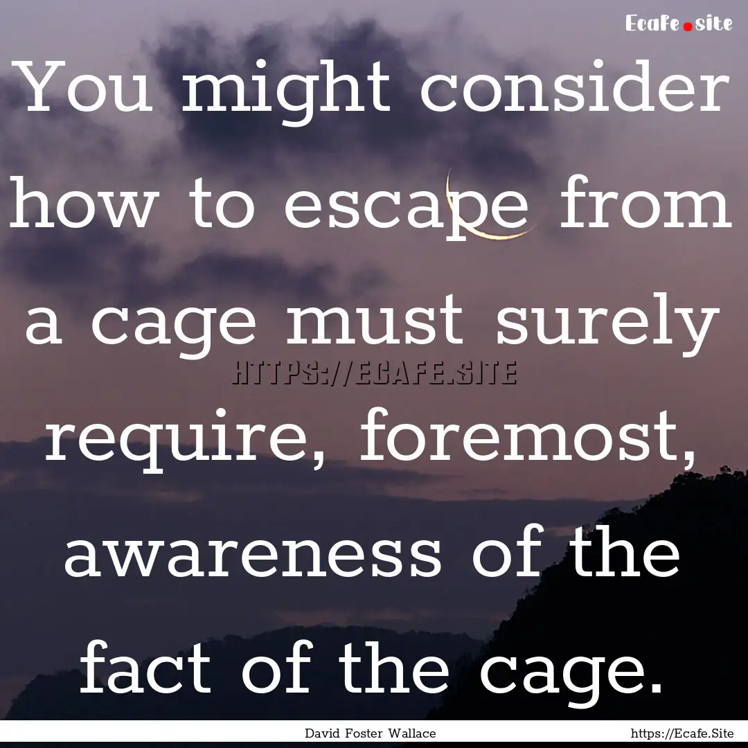 You might consider how to escape from a cage.... : Quote by David Foster Wallace