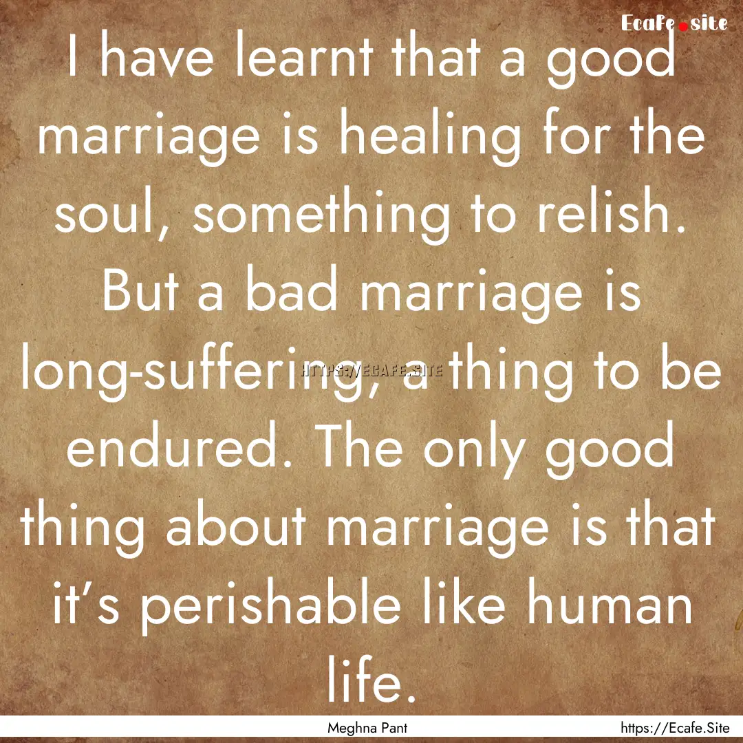 I have learnt that a good marriage is healing.... : Quote by Meghna Pant