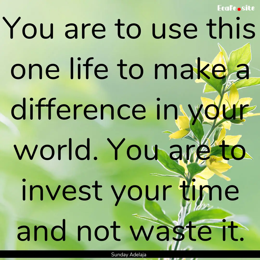 You are to use this one life to make a difference.... : Quote by Sunday Adelaja