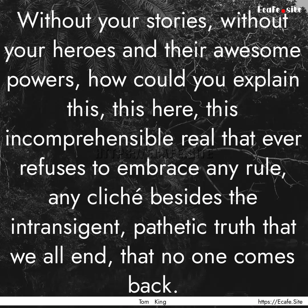 Without your stories, without your heroes.... : Quote by Tom King