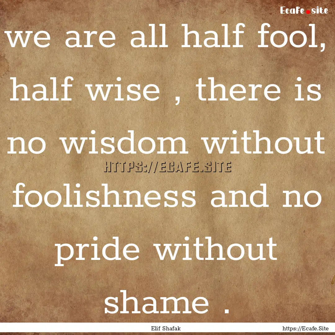 we are all half fool, half wise , there is.... : Quote by Elif Shafak