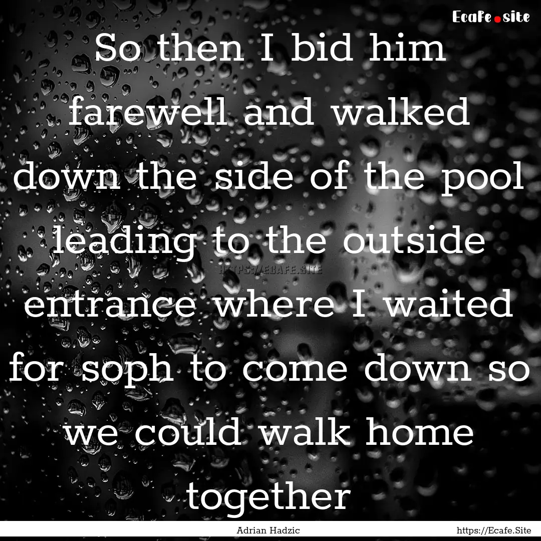 So then I bid him farewell and walked down.... : Quote by Adrian Hadzic