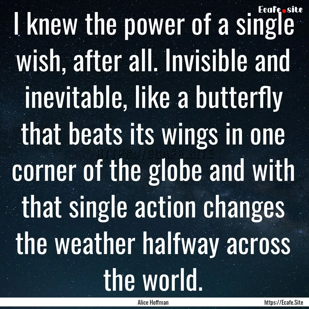 I knew the power of a single wish, after.... : Quote by Alice Hoffman