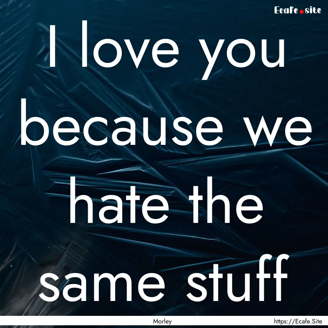 I love you because we hate the same stuff.... : Quote by Morley