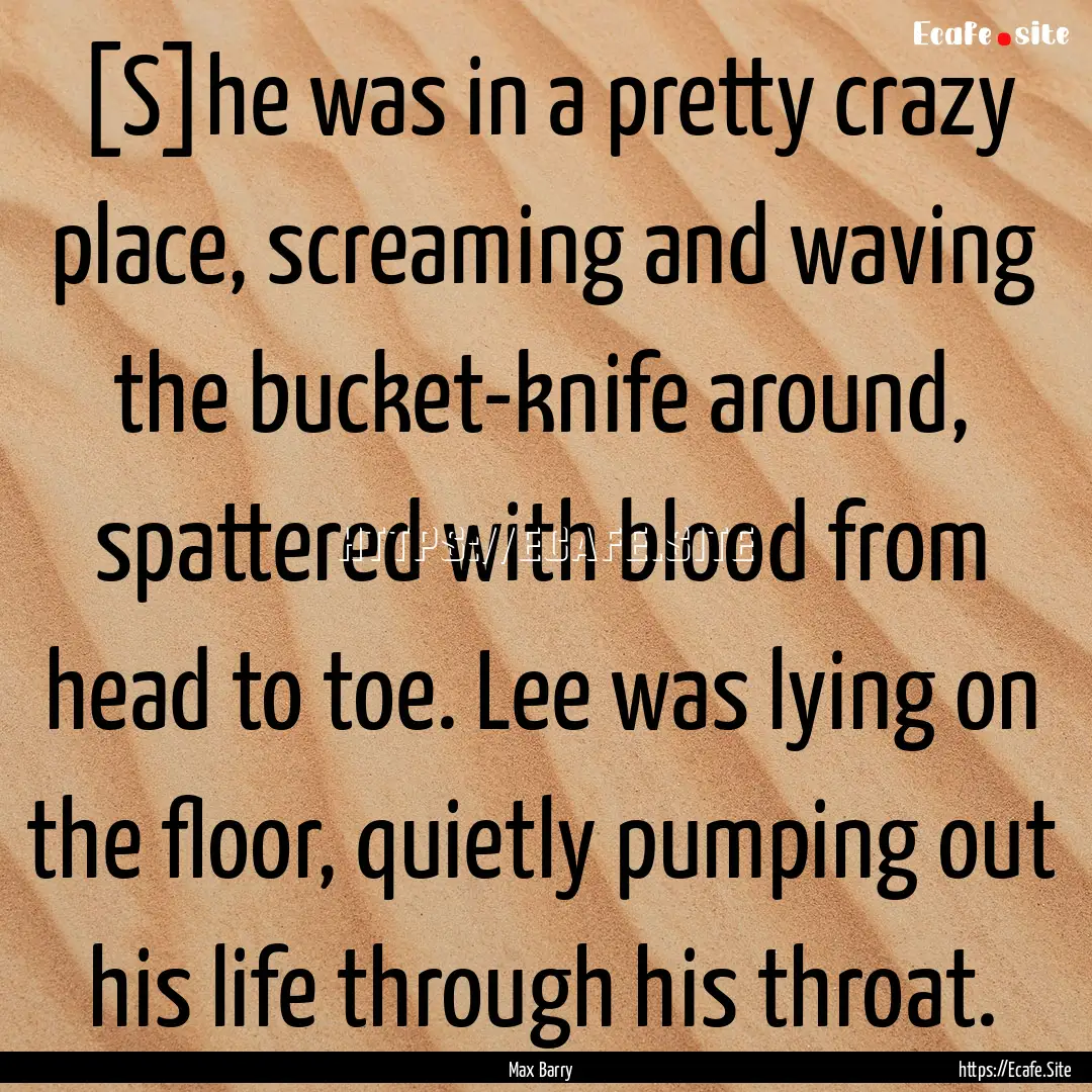 [S]he was in a pretty crazy place, screaming.... : Quote by Max Barry