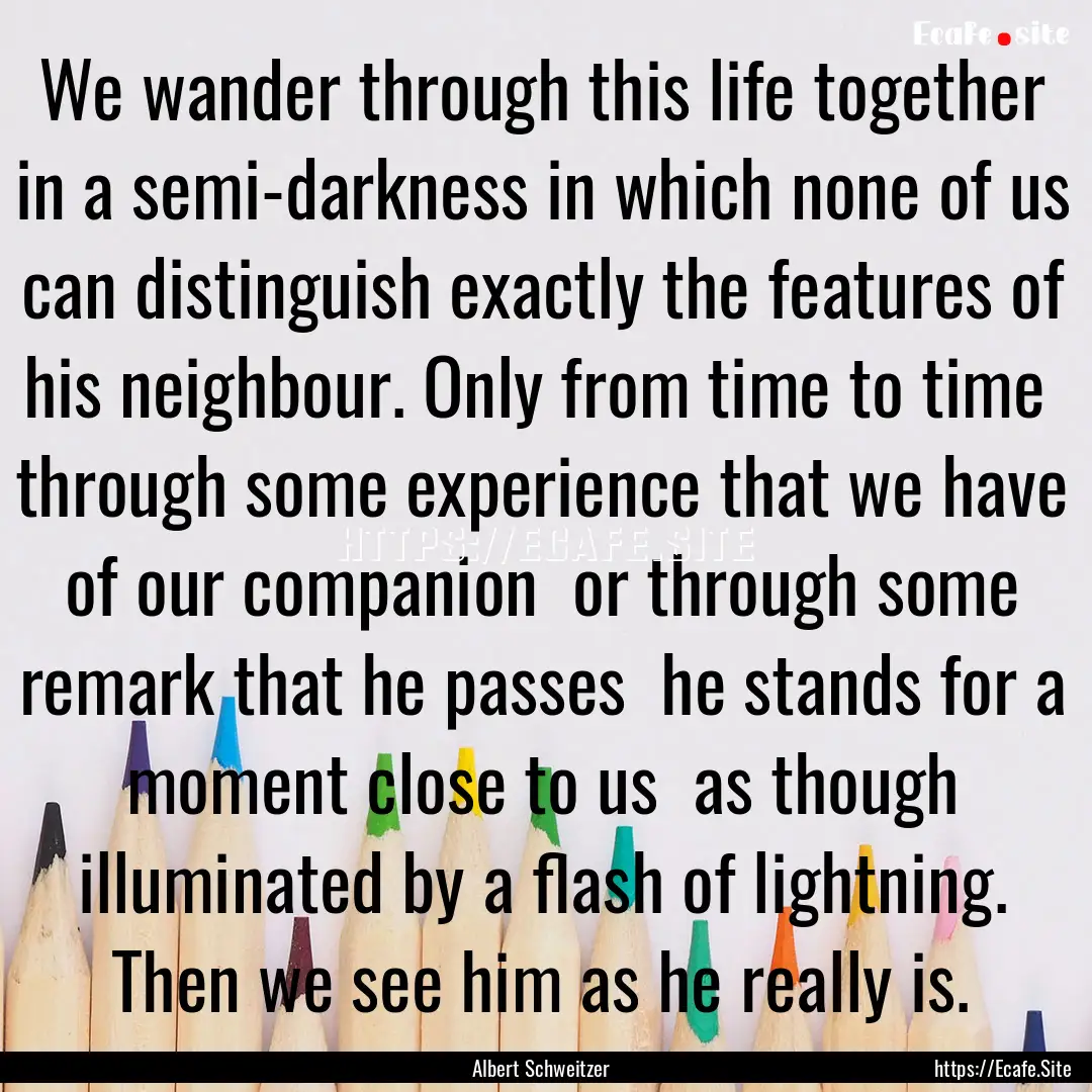 We wander through this life together in a.... : Quote by Albert Schweitzer