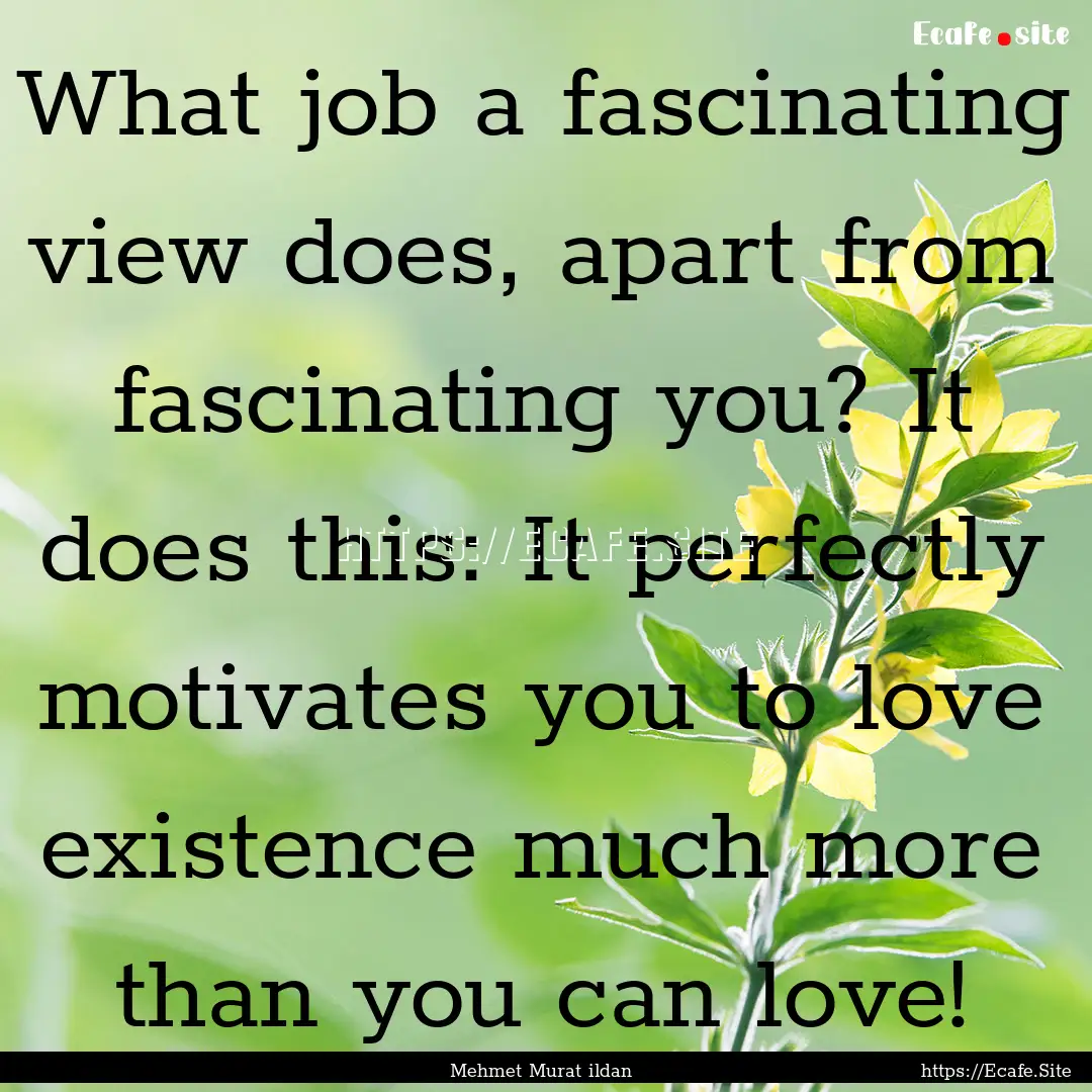 What job a fascinating view does, apart from.... : Quote by Mehmet Murat ildan